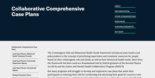 Collaborative Comprehensive Case Plans website image